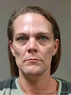 Mugshot of Anne M O'connor booked in Randolph County, Missouri on October 8, 2026