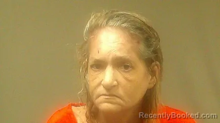 Mugshot of ANDREA ELIZABETH NELSON booked in Randolph County, Missouri on April 30, 2026