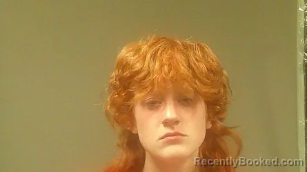 Mugshot of CHRISTA DANIELLE DAMITZ