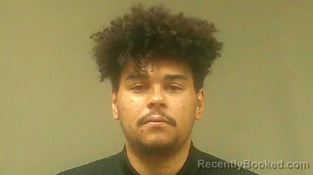 Mugshot of ELIJAH NOEL BINSWANGER