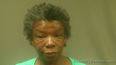 Mugshot of LINDA ANN JOHNSON