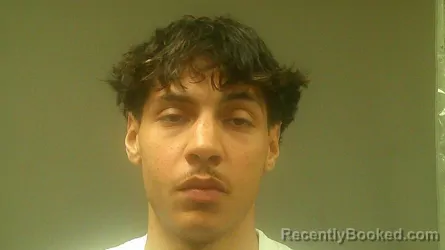 Mugshot of NIGEL KANE DAMERON