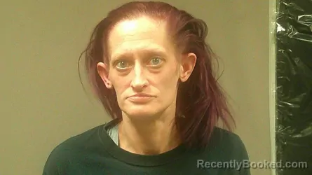 Mugshot of STACY CHISTINE CALVERT