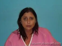 Mugshot of ERIN WILSON