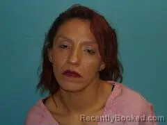 Mugshot of AMANDA ROSCHETZKY