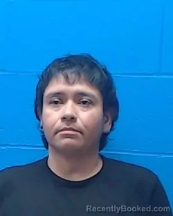 Mugshot of Ana Beatrice Hayes