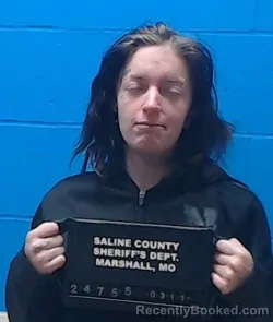 Mugshot of Brianna Nicole Latimer