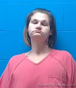 Mugshot of Brooke Anne Merit
