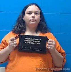 Mugshot of Brittany Jean Perkins