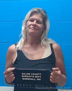 Mugshot of Crystal Lynn Davis booked in Saline County, Missouri on July 10, 2026
