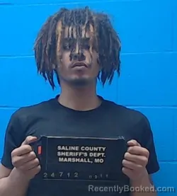 Mugshot of Daylen Brooks Bankovich