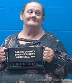 Mugshot of Deborah Elaine Oltmer
