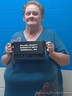 Mugshot of Deborah Elaine Oltmer booked in Saline County, Missouri on September 11, 2026