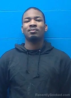 Booking photo from Saline County, Missouri