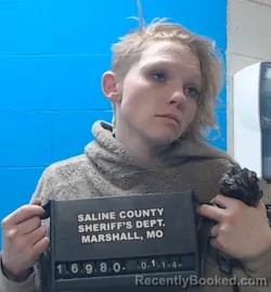 Mugshot of Hayley Denise Michaels