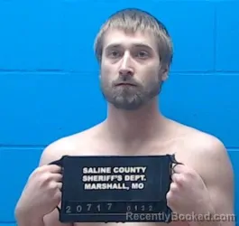 Mugshot of Lynden Shea Franklin