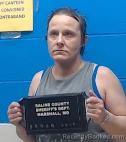 Mugshot of Lori Lynn Stepp booked in Saline County, Missouri on May 15, 2026