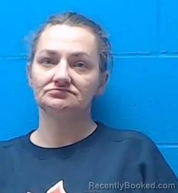 Mugshot of Misty Lynn Perkins