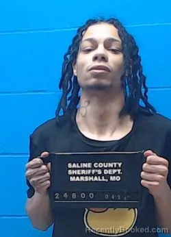 Mugshot of Phillip G Davis booked in Saline County, Missouri on April 24, 2026