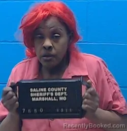 Mugshot of Robette Antoinette Jones
