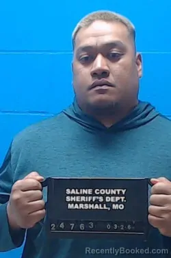 Mugshot of Steiner NMI Mark