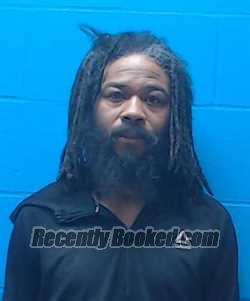 Booking photo from Saline County, Missouri