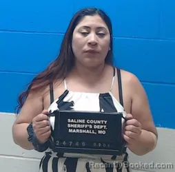 Mugshot of Wendy Yasmin Ramos Monroy