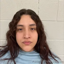 Mugshot of VANNIA FERNANDA GAMEZ SANCHEZ
