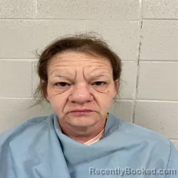 Mugshot of SUNSHINE PEARL WILKERSON booked in Archer County, Texas on March 23, 2026