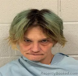Mugshot of ROBIN JEAN VILLERS booked in Archer County, Texas on June 18, 2026
