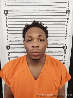 Mugshot of ALVIN LAURANT HINDS