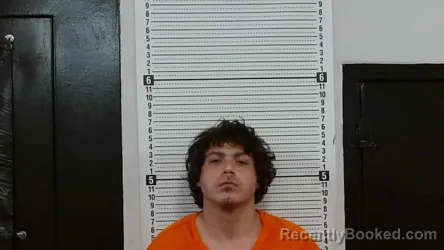 Mugshot of AUSTIN M STARNES booked in Scott County, Missouri on April 23, 2026