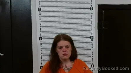 Mugshot of BRANDI M GOAD booked in Scott County, Missouri on June 29, 2026