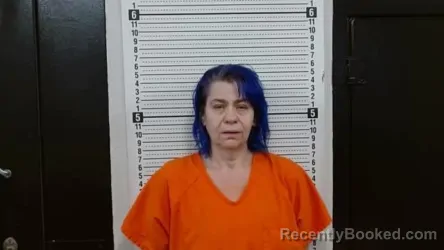 Mugshot of BARBARA C MAXWELL booked in Scott County, Missouri on July 25, 2026