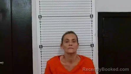 Mugshot of Christie Nicole Burgess booked in Scott County, Missouri on September 4, 2026