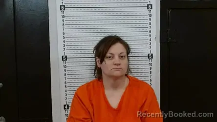 Mugshot of CHRISTINA L HILLEBRAND booked in Scott County, Missouri on April 2, 2026