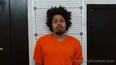 Mugshot of DEMONTRAE DION HILL booked in Scott County, Missouri on August 1, 2026