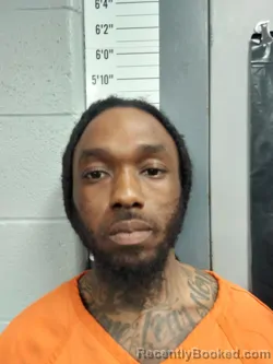 Mugshot of DMARIUS N/A INGRAM