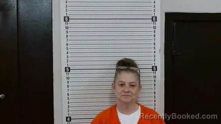 Mugshot of DANNA GAIL RAINS