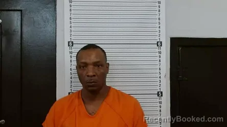 Mugshot of DION E SAVAGE
