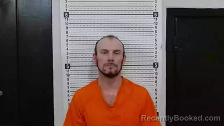 Booking photo from Scott County, Missouri