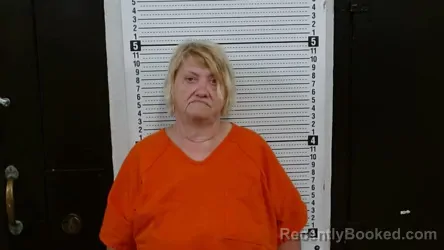 Mugshot of HELEN IRENE DENNY booked in Scott County, Missouri on June 13, 2026