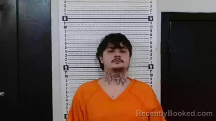 Mugshot of IGNACIO D RANGEL