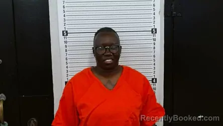 Mugshot of Johanna Robin David booked in Scott County, Missouri on October 22, 2026