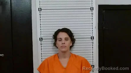 Mugshot of Jessica Renae Gephart booked in Scott County, Missouri on September 3, 2026