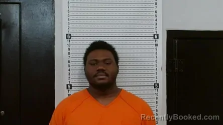 Mugshot of JAYLIN MALIK HAMILTON