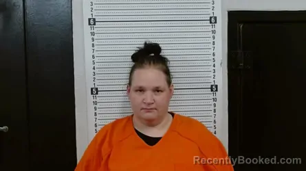 Mugshot of KRYSTAL GAIL BARBERIS booked in Scott County, Missouri on June 8, 2026