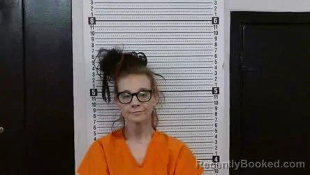 Mugshot of KARYN D LEFLER