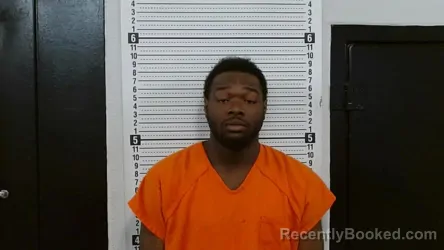 Mugshot of L'TORIAN DARCELL WILLIAMS