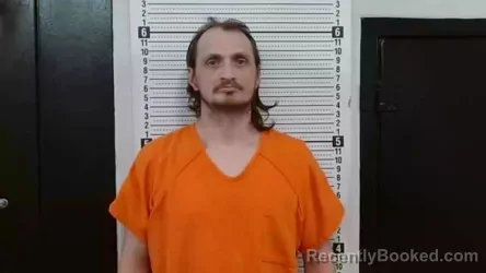 Mugshot of LEE D ZIEGLER